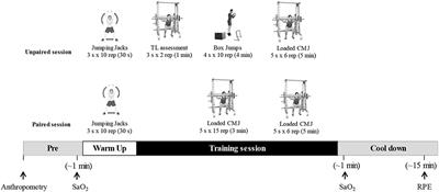 Mean Propulsive Velocity Is a Viable Method for Adjusting the Resistance-Training Load at Moderate Altitude